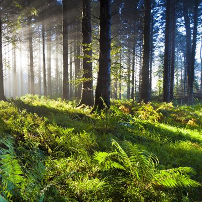 开全站登录appapp下载