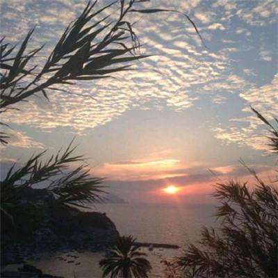 BOB体育综合下载平台