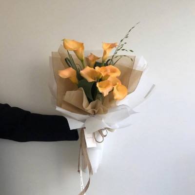 乐鱼app下载下载手机版