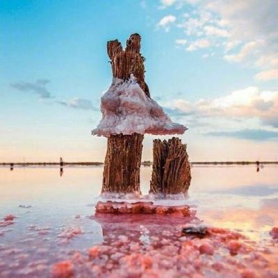 单机的打鱼游戏下载手机版