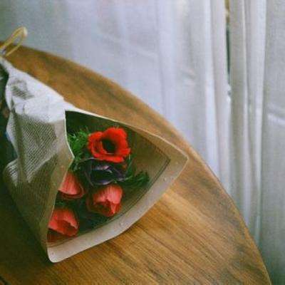 乐鱼体育官网app网页登录