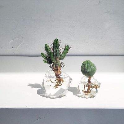 888电玩城游戏厅