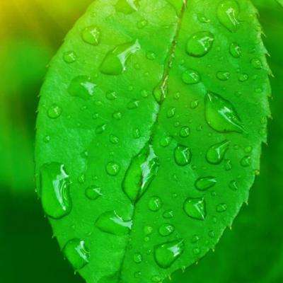 双赢彩票官方下载