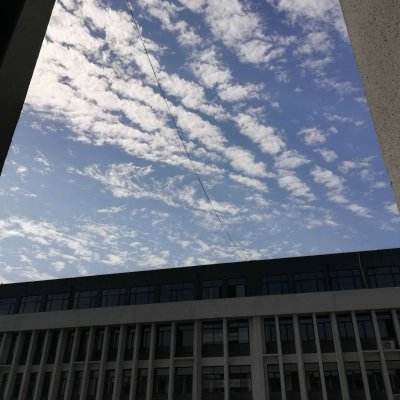 加拿大pc软件平台手机app下载